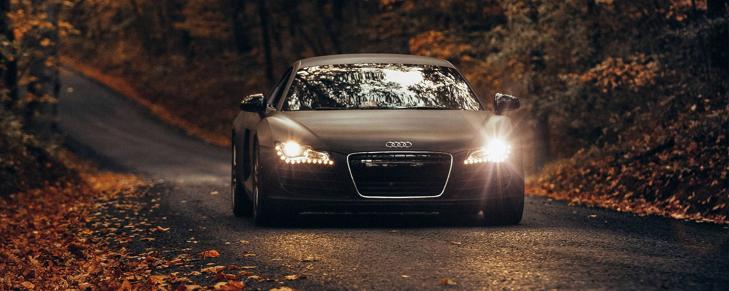 Audi Repair and Service near Alexandria, VA