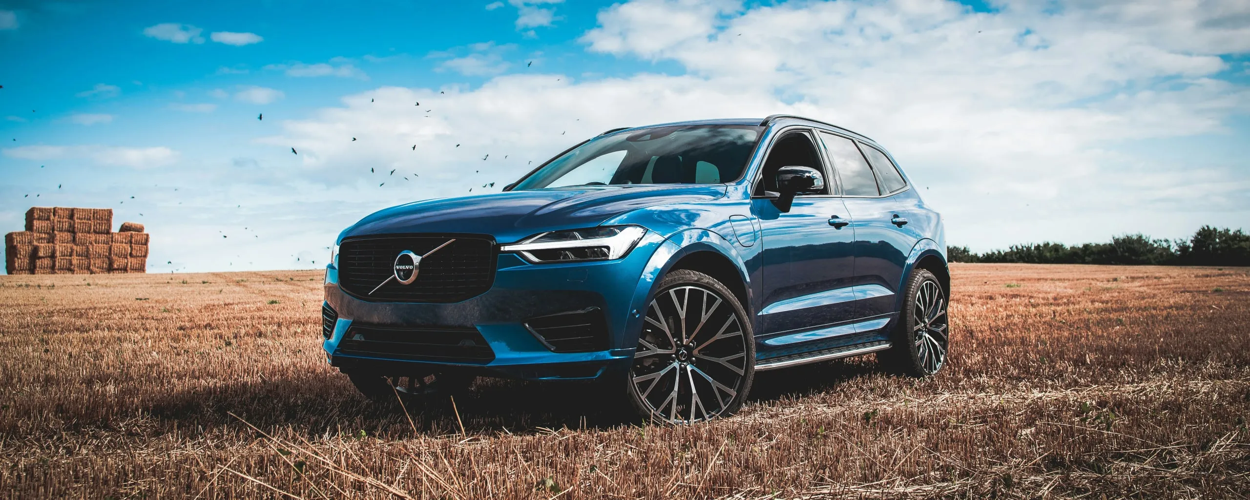 Volvo Repair and Service near Alexandria, VA